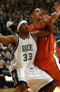 milan.com-中国篮球运动员生涯转型支持研究，中国篮球从业人员