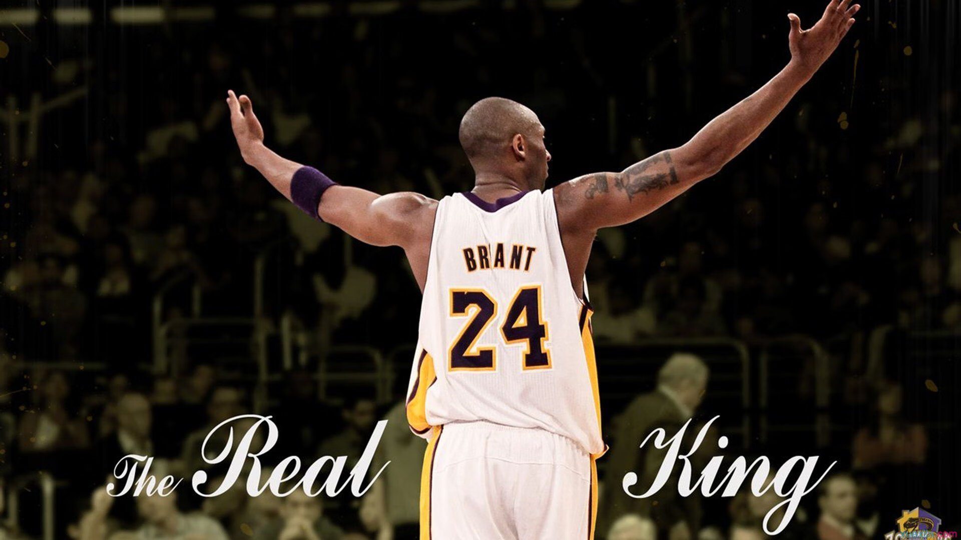 联赛观众人数刷新纪录